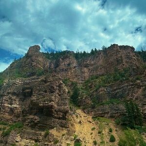 Meet your Posher, Bruce